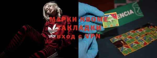 стафф Арсеньев