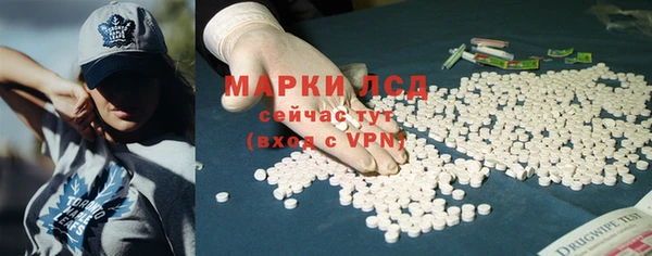 стафф Арсеньев