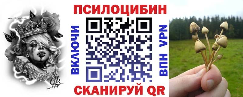 наркота Мичуринск Галлюциногенные грибы мицелий